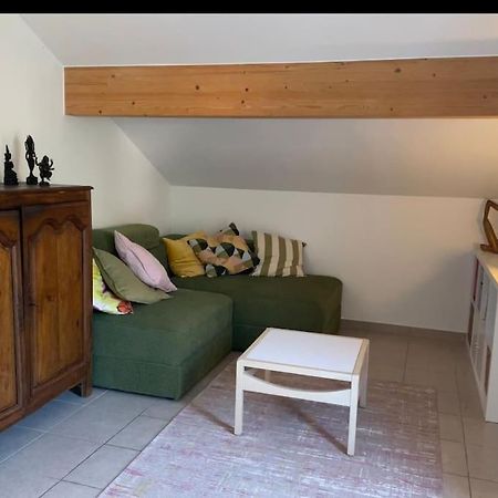 Chez Peggy & Victor - Appartement 4/5 Personnes Naves-Parmelan Buitenkant foto